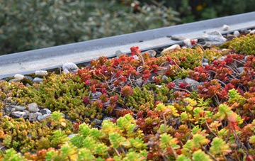 the cost of Waterlooville green roof installation