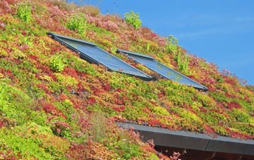 Waterlooville living roof systems